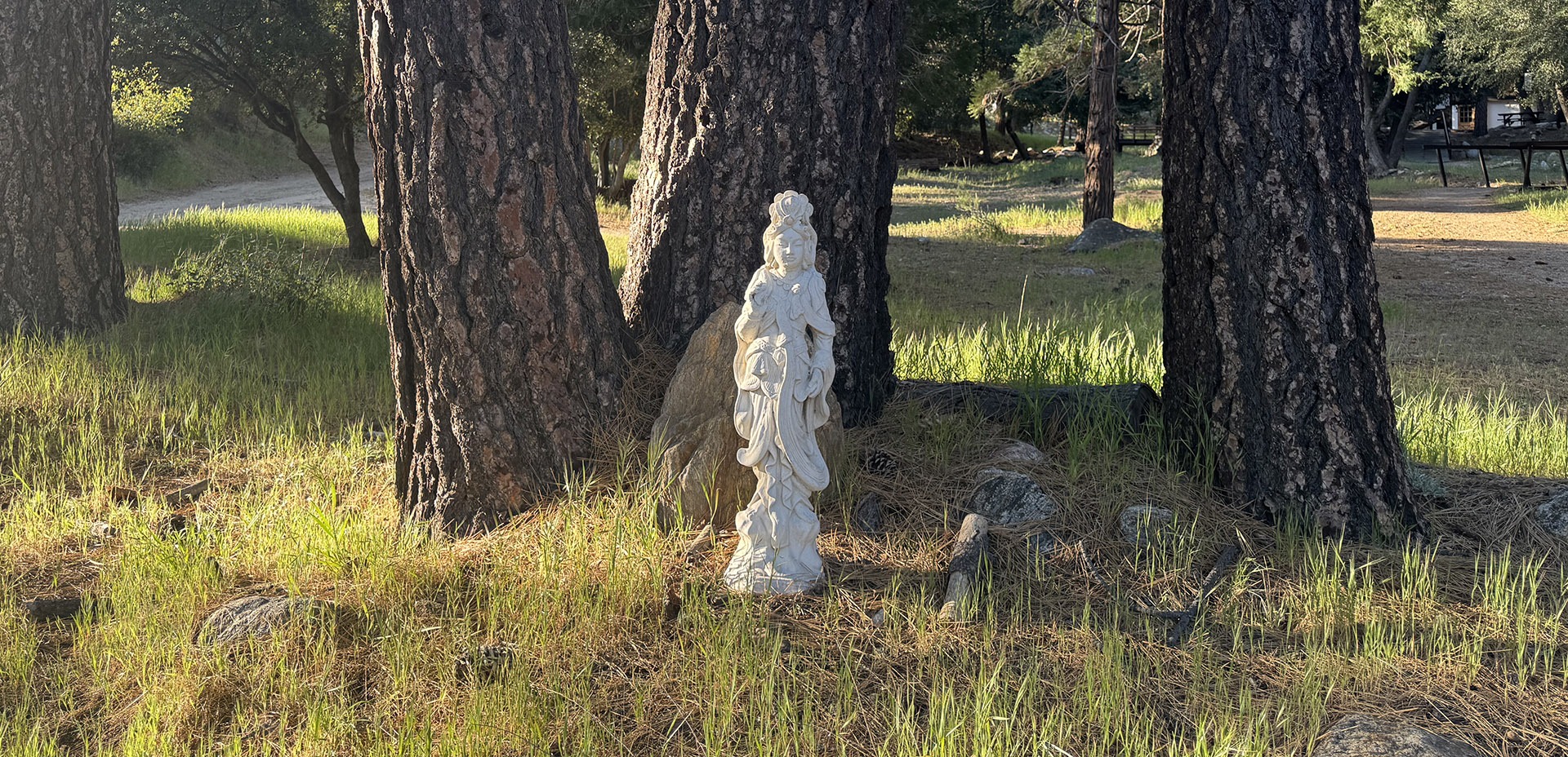 Donate to the Dharma Training Fund